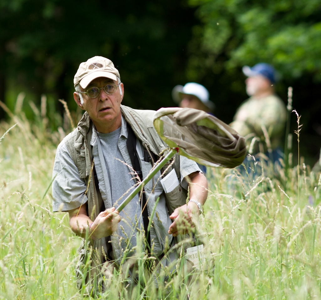 Butterfly Hunt Visit CT